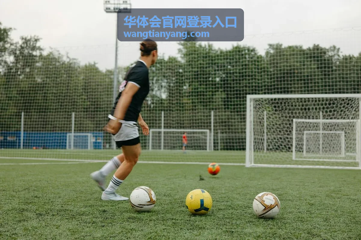 华体会官网登录入口热门栏目大图